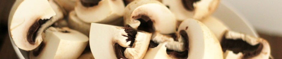 Agaricus Bisporus – The Portabella mushroom