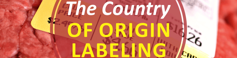 Clean Eating 101: Understanding Food Labels