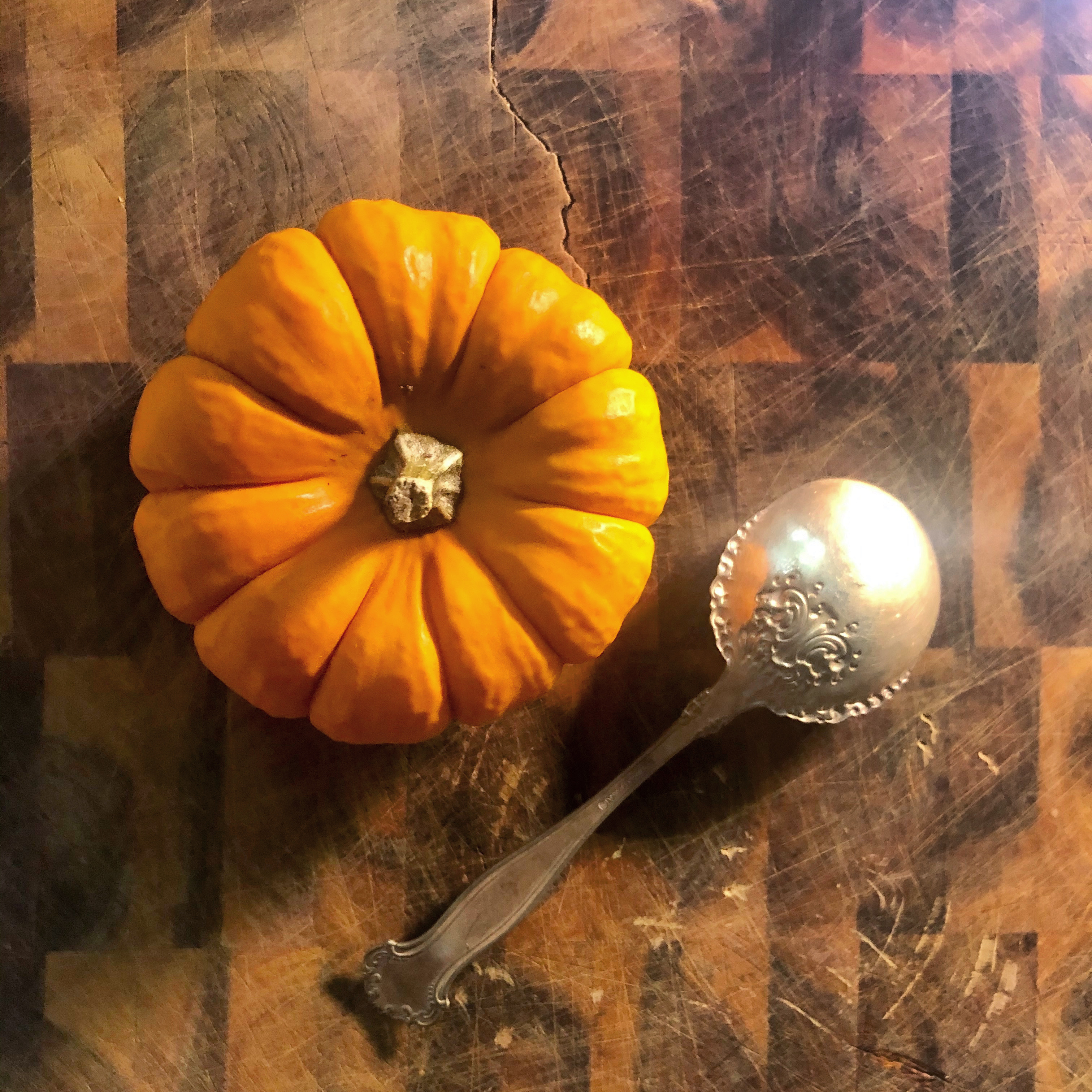 A Few of my Favorite Fall recipes 🍂🍁🍂